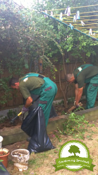 Stockport Garden Care Services